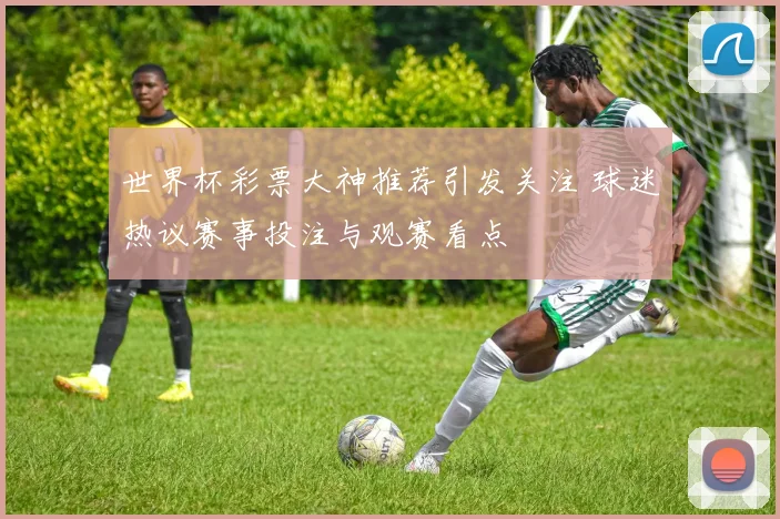 世界杯彩票大神推荐引发关注 球迷热议赛事投注与观赛看点