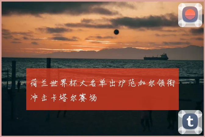荷兰世界杯大名单出炉范加尔领衔冲击卡塔尔赛场