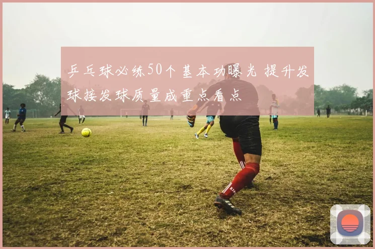 乒乓球必练50个基本功曝光 提升发球接发球质量成重点看点