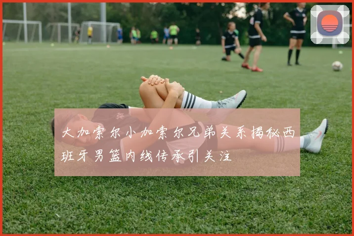 大加索尔小加索尔兄弟关系揭秘西班牙男篮内线传承引关注