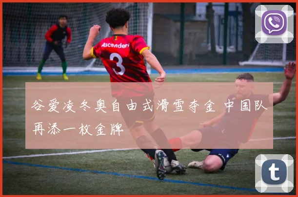 谷爱凌冬奥自由式滑雪夺金 中国队再添一枚金牌