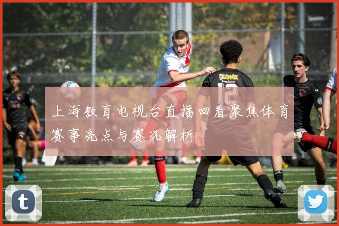上海教育电视台直播回看聚焦体育赛事亮点与赛况解析